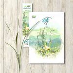 နှင်းပန်း